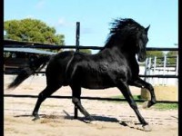 /album/fotogaleria/a27-espa-jpg/